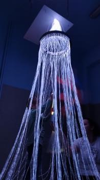 IMG_20240216_112133687_MF_PORTRAIT (1)